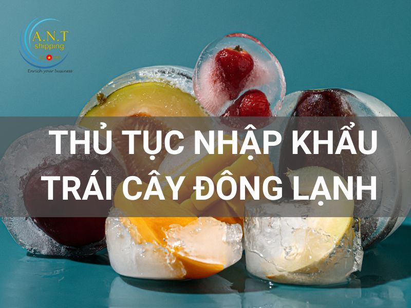 THỦ TỤC NHẬP KHẨU TRÁI CÂY ĐÔNG LẠNH