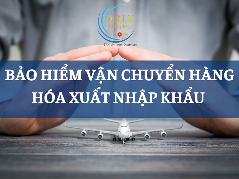 Bảo hiểm vận chuyển hàng hóa xuất nhập khẩu