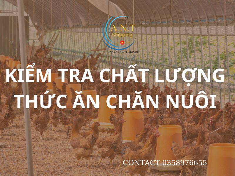 Thủ tục nhâp khẩu thức ăn chăn nuôi có nguồn gốc động vật