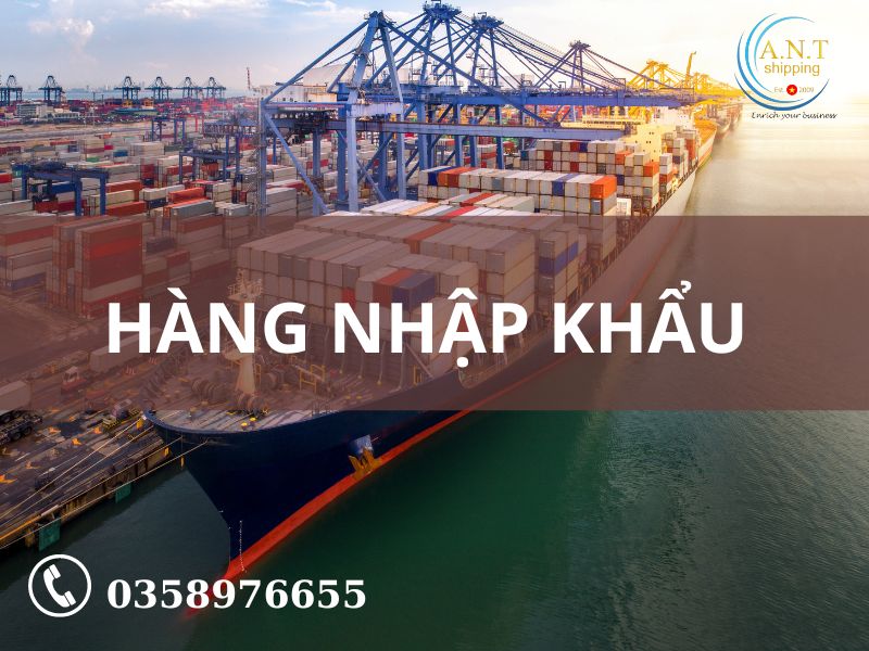 Phí và phụ phí trong vận chuyển đường biển container