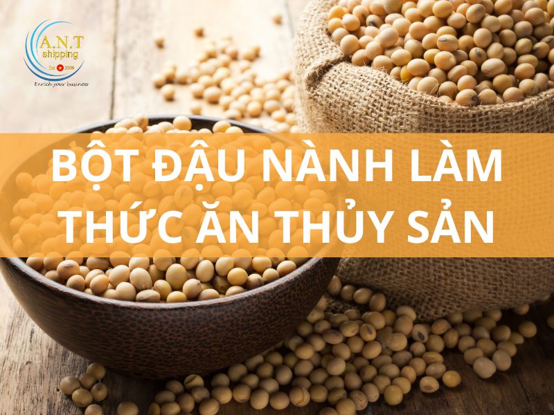 Thủ tục nhập khẩu bột đậu nành làm thức ăn thủy sản