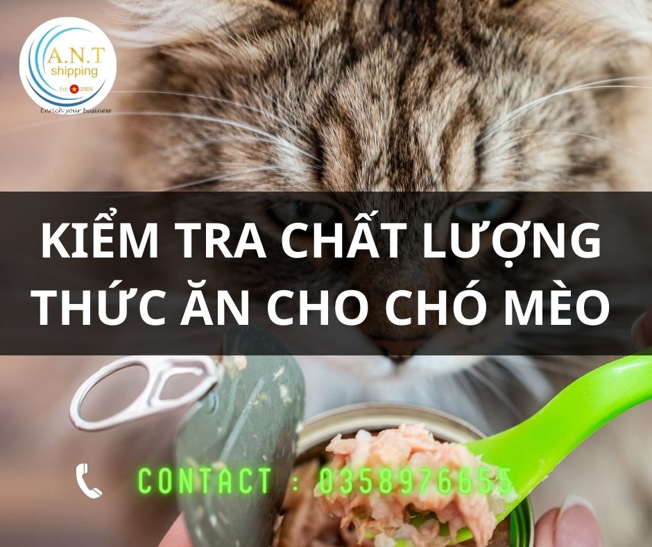 Thủ tục nhập khẩu thức ăn cho chó mèo