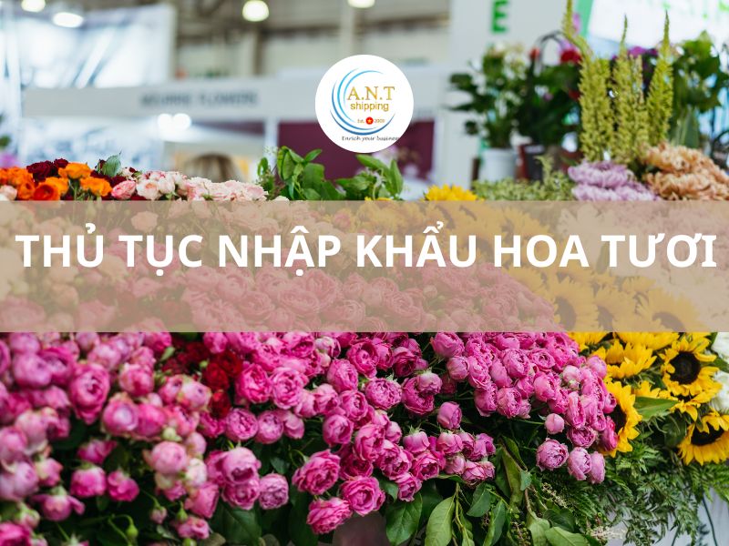 Thủ tục nhập khẩu hoa tươi